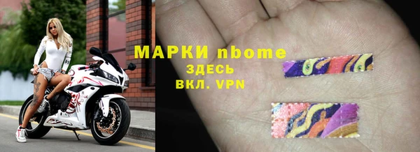 сатива Балахна