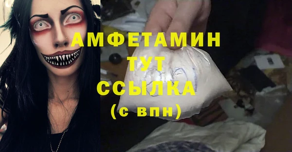 сатива Балахна