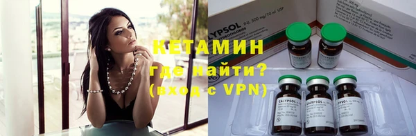 сатива Балахна