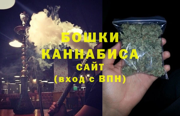 сатива Балахна