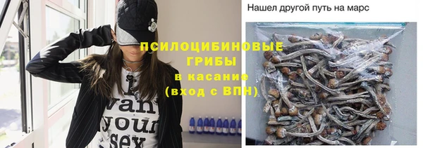 сатива Балахна