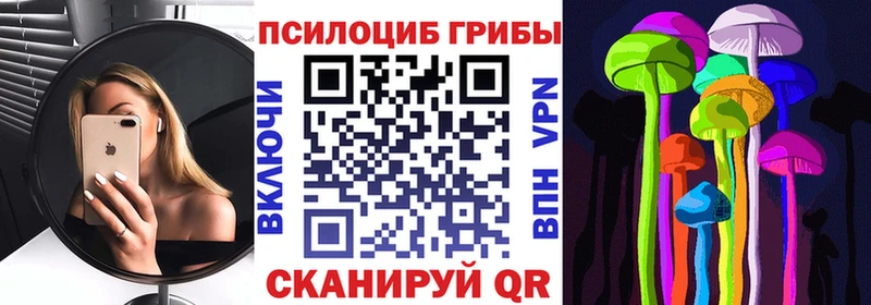 магазин наркотиков Тогучин Псилоцибиновые грибы мухоморы