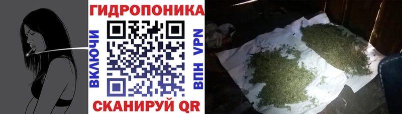 Бошки Шишки LSD WEED  площадка телеграм  Тогучин 